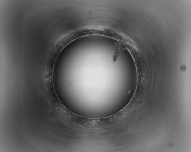 X0000102790966200808181256