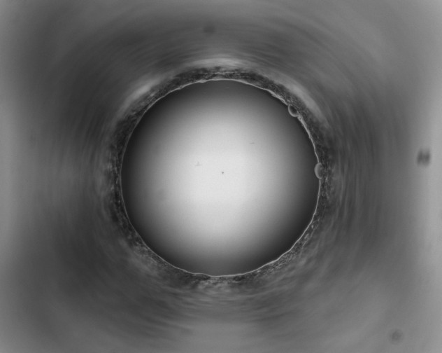 X0000102790967200808181256