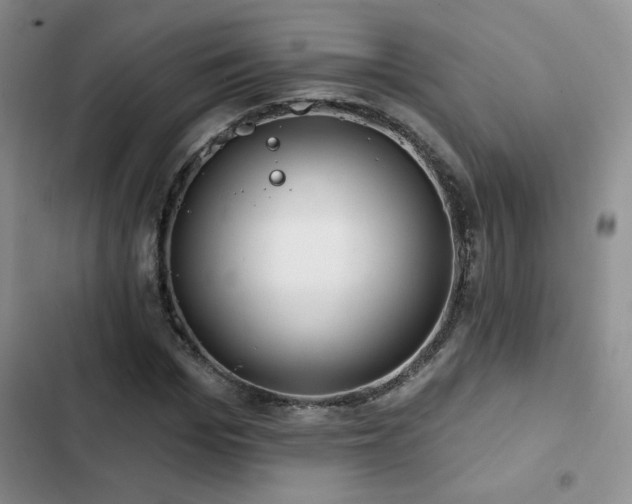 X0000102790969200808181256