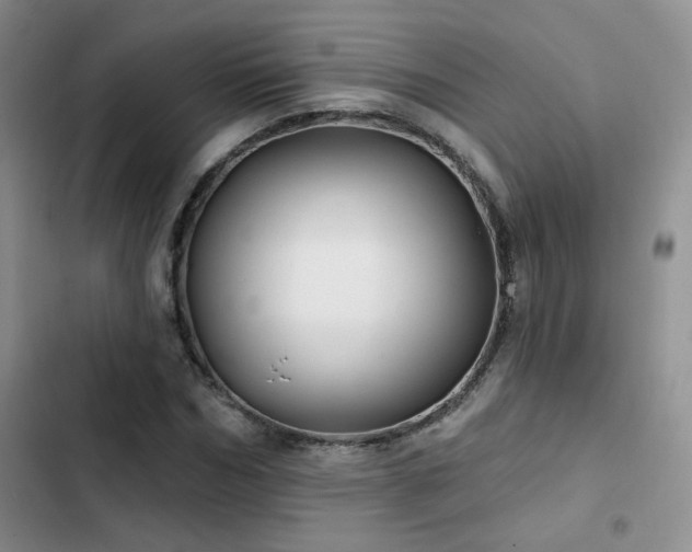 X0000102790970200808181256
