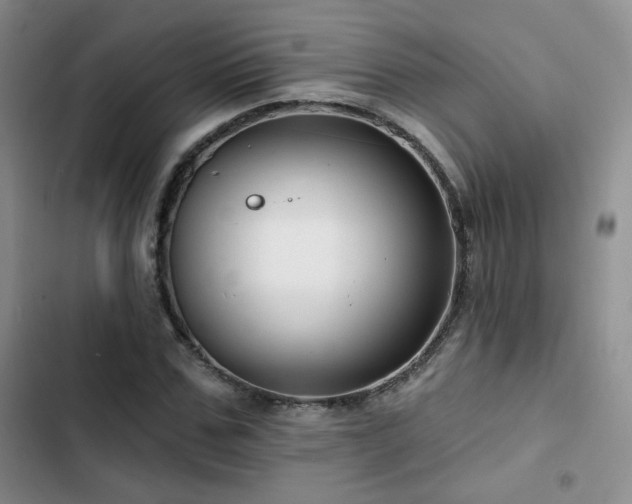 X0000102790971200808181256