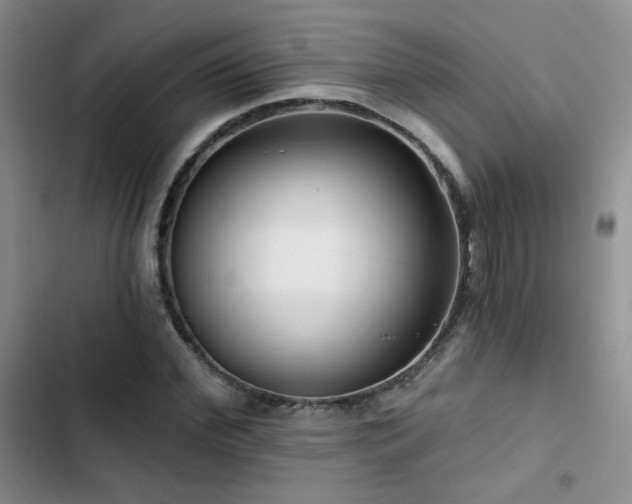 X0000102790972200808181256