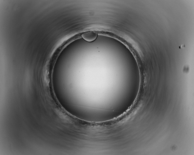 X0000102790973200808181256