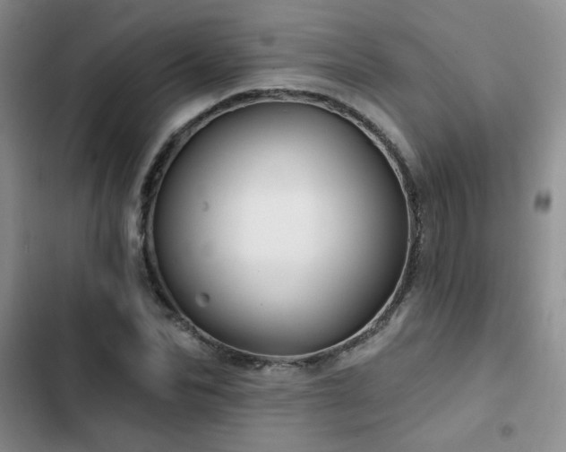 X0000102790974200808181256