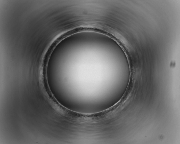 X0000102790976200808181256