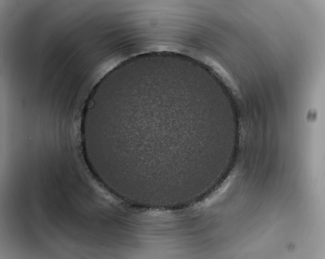 X0000102790977200808181256