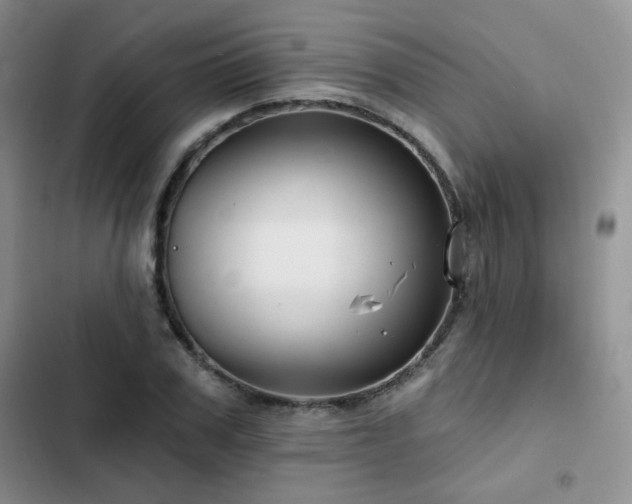 X0000102790979200808181256