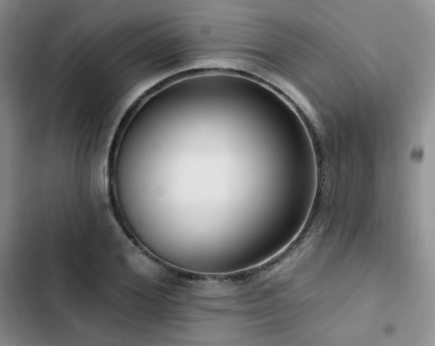 X0000102790980200808181256