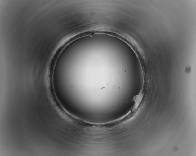 X0000102790981200808181256