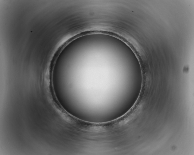 X0000102790982200808181256