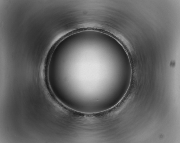 X0000102790983200808181256