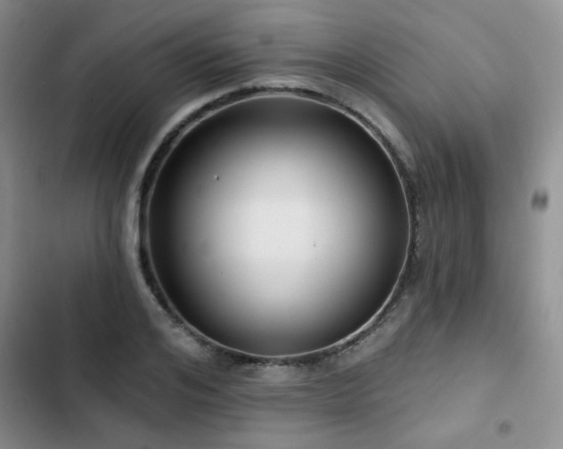 X0000102790984200808181256
