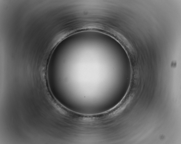 X0000102790985200808181256