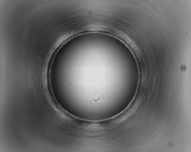 X0000102790986200808181256