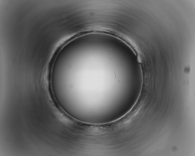 X0000102790987200808181256