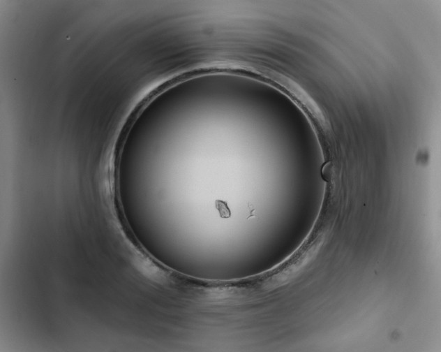 X0000102790988200808181256