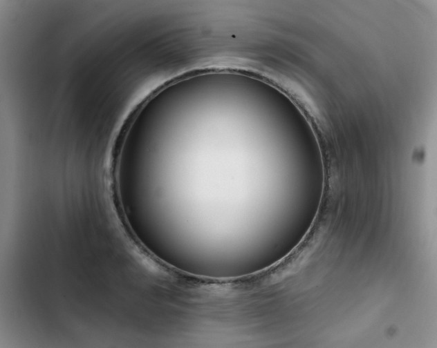 X0000102790990200808181255