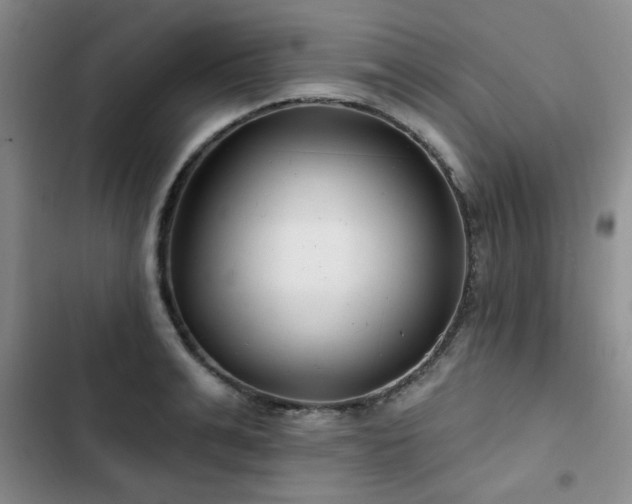 X0000102790991200808181255