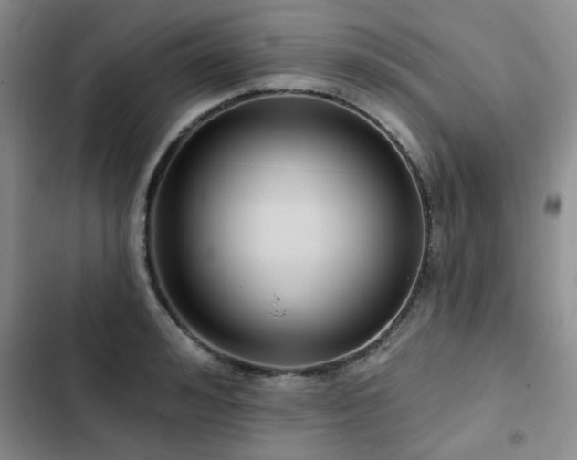 X0000102790992200808181255