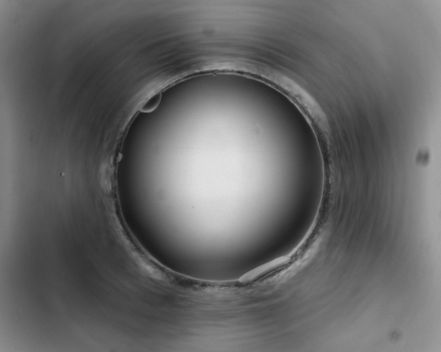 X0000102790993200808181255