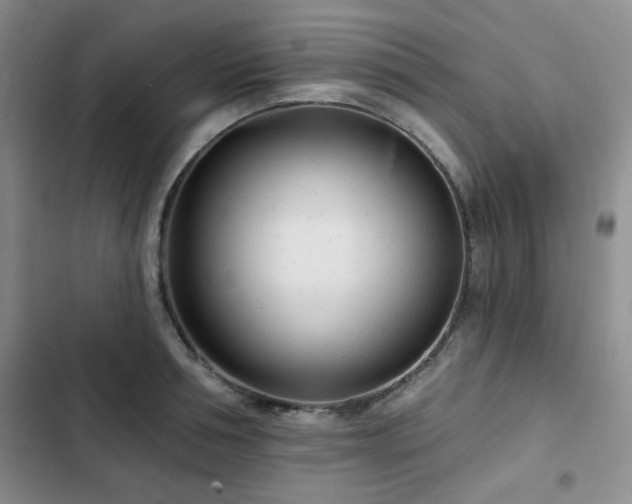 X0000102790994200808181255