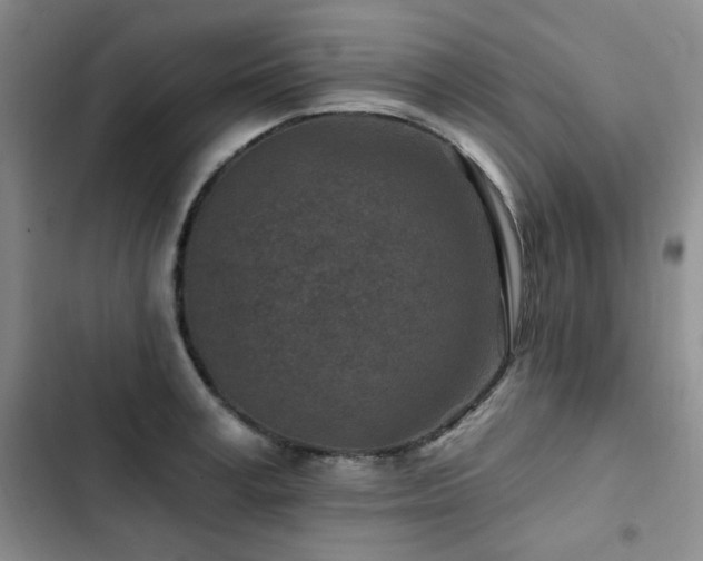 X0000102790995200808181255