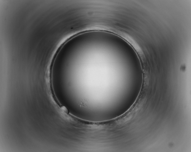X0000102790996200808181255