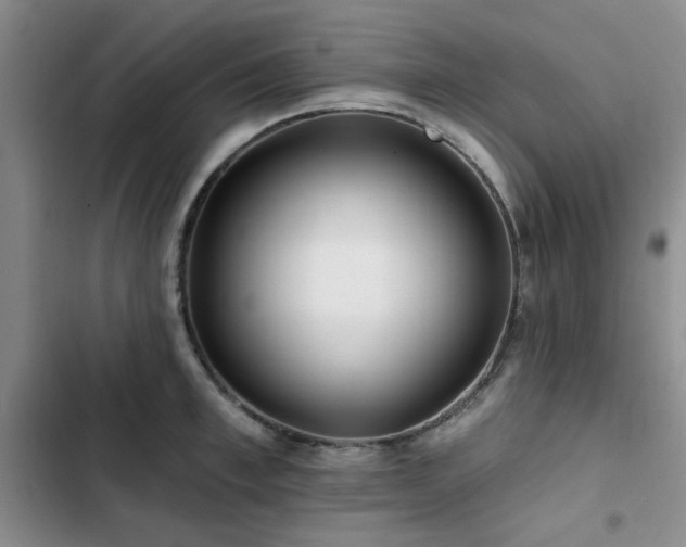 X0000102790997200808181255