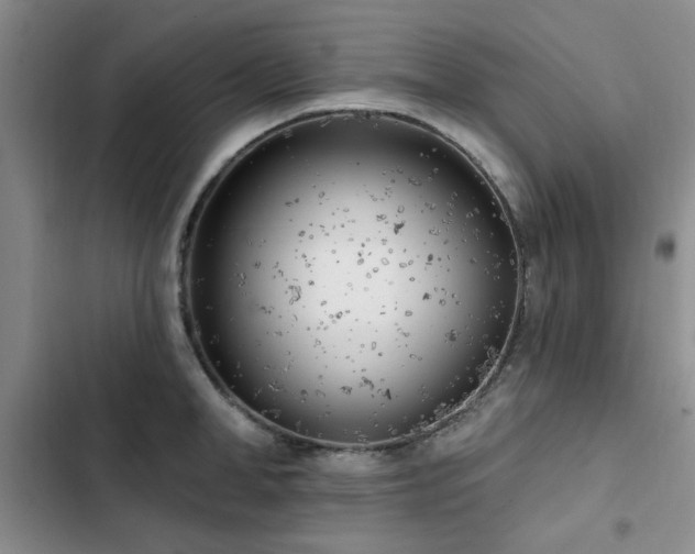 X0000102790998200808181255