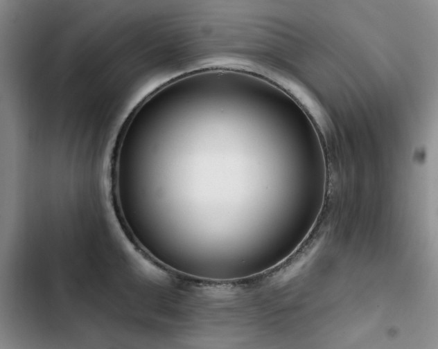 X0000102790999200808181255