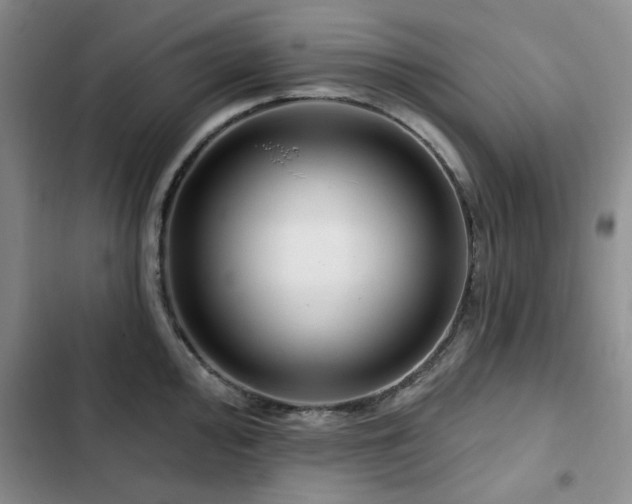 X0000102791000200808181255