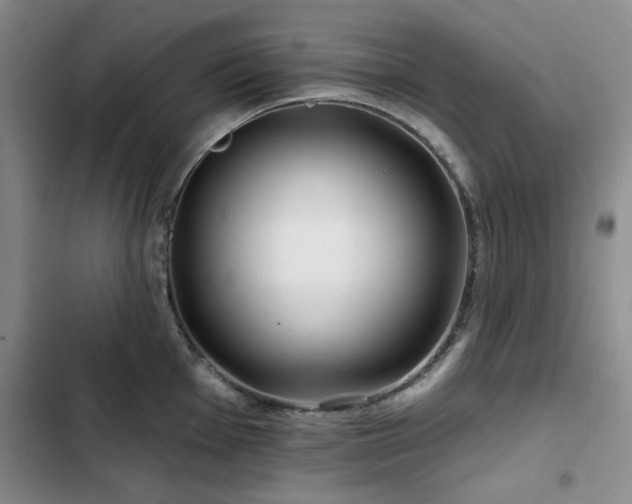 X0000102791001200808181255