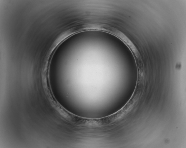 X0000102791002200808181255