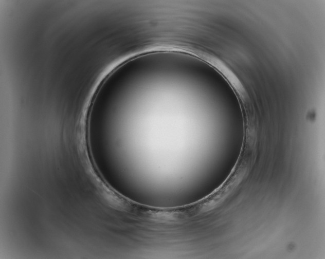 X0000102791004200808181255