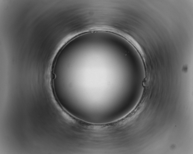 X0000102791005200808181255