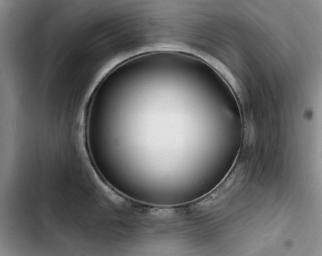 X0000102791006200808181255