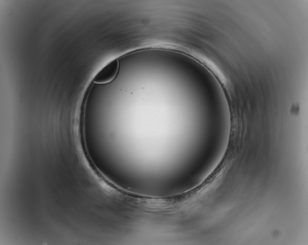 X0000102791007200808181255