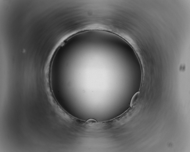 X0000102791008200808181255