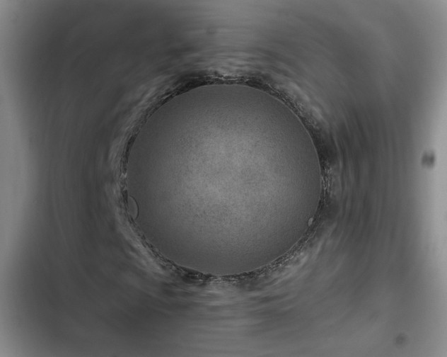 X0000102791009200808181255