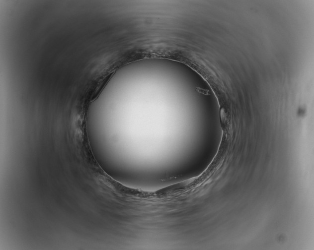 X0000102791010200808181255