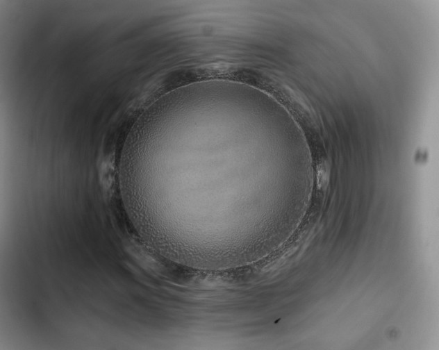 X0000102791011200808181255