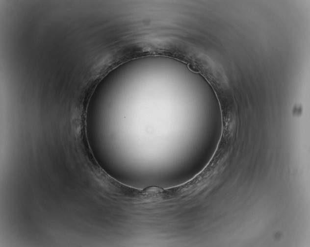 X0000102791012200808181255