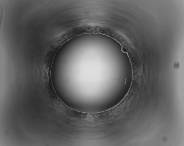 X0000102791013200808181255