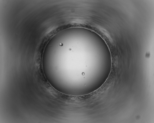 X0000102791015200808181255