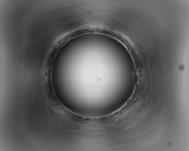 X0000102791016200808181255
