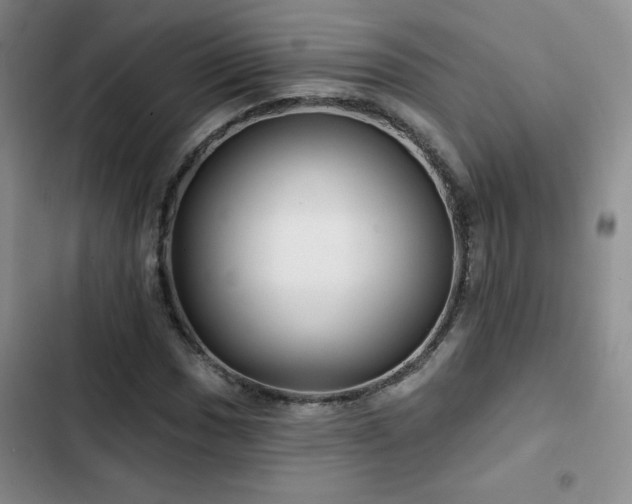 X0000102791017200808181255