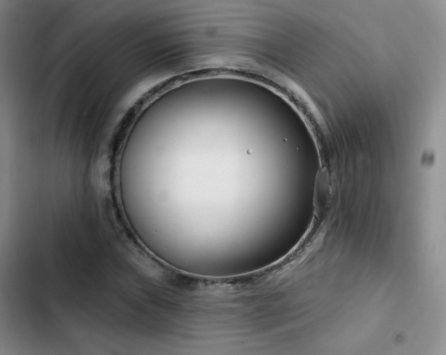 X0000102791019200808181255