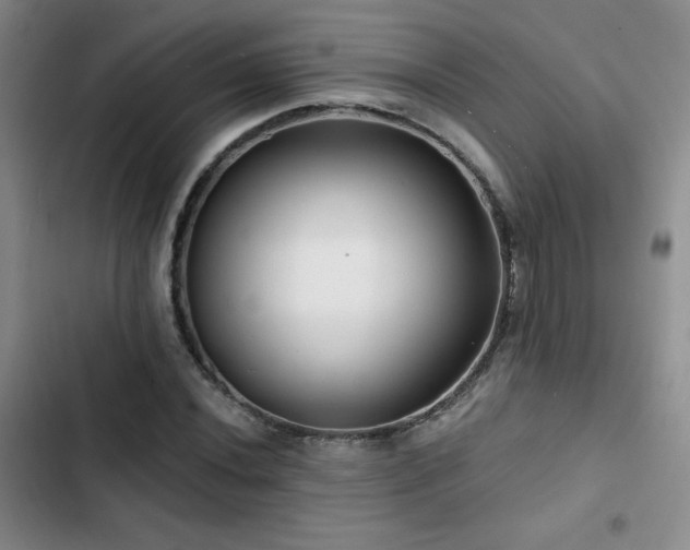 X0000102791020200808181255