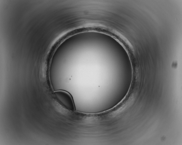 X0000102791021200808181255