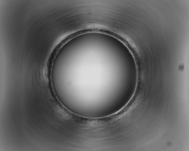 X0000102791022200808181255